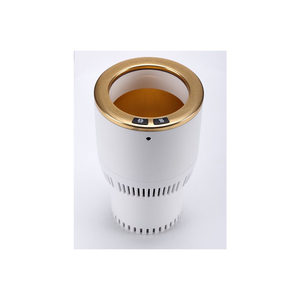 2 in 1 Car Instant Electric Fast Cooling Cup